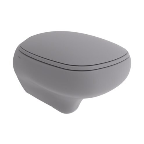 Bocchi Fenice Mat Gri Asma Klozet