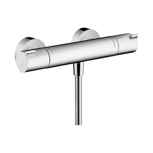 Hansgrohe Ecostat 1001 Cl Termostatik Duş Bataryası