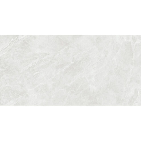 Kütahya Seramik Swan 120x240 cm Açık Gri Rektifiye Parlak Nano Seramik 55018362RN